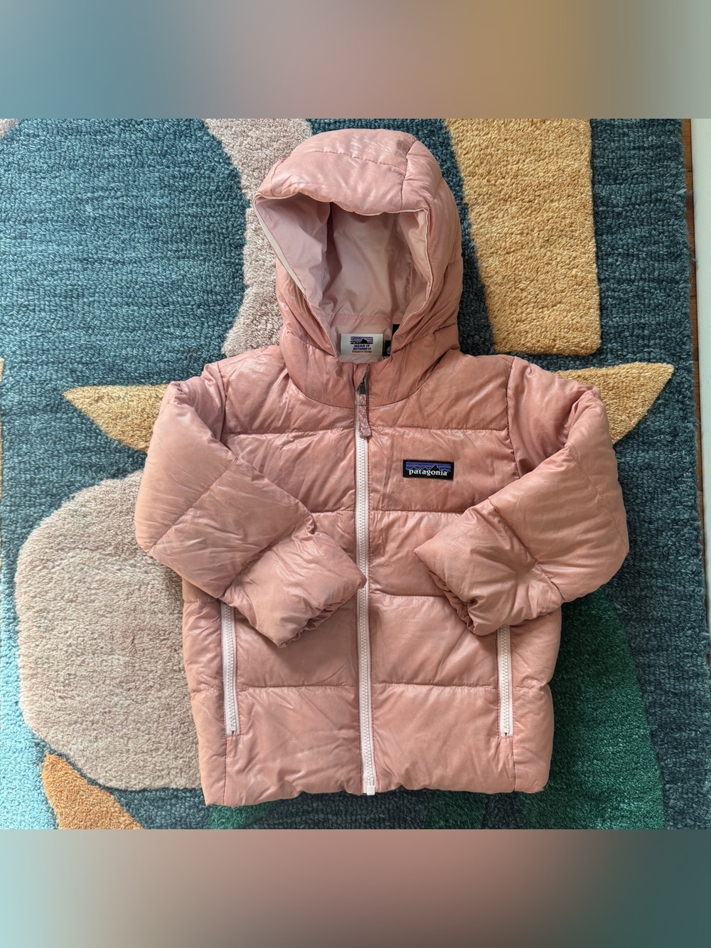 Patagonia Hi-Loft Down Sweater Hoody
